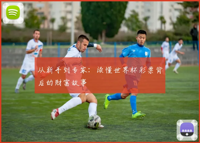 从新手到专家：读懂世界杯彩票背后的财富故事