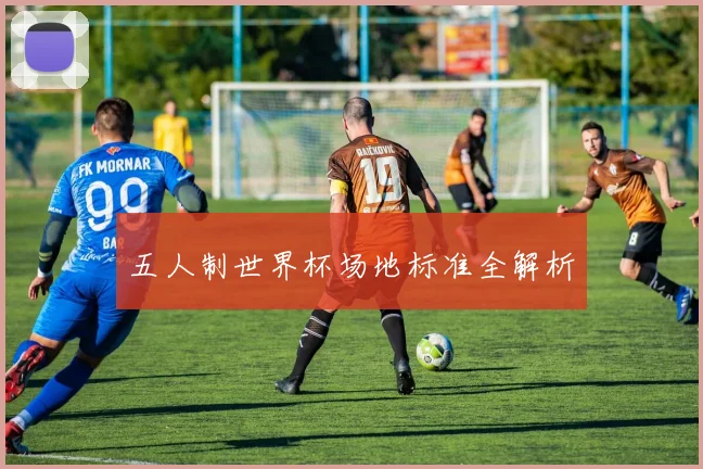 五人制世界杯场地标准全解析