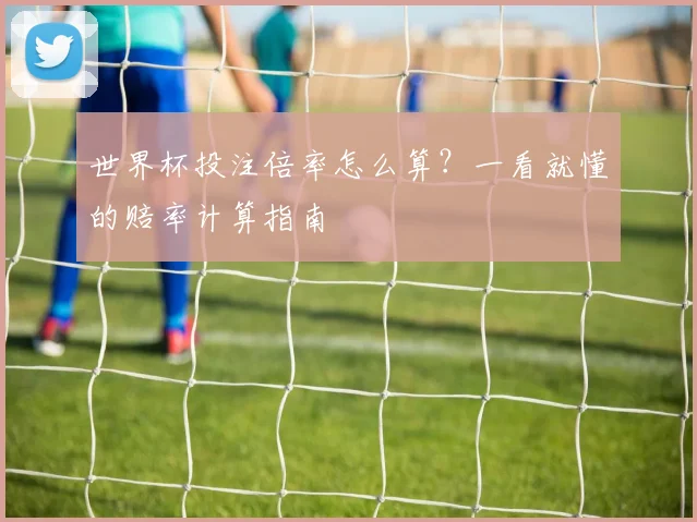 世界杯投注倍率怎么算？一看就懂的赔率计算指南