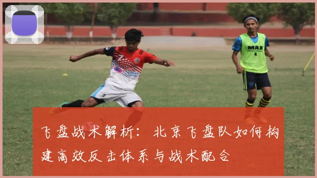 飞盘战术解析:北京飞盘队如何构建高效反击体系与战术配合