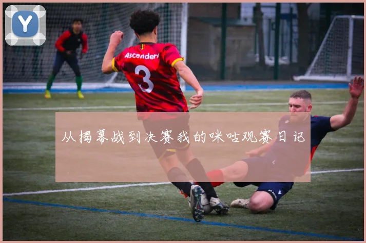 从揭幕战到决赛我的咪咕观赛日记
