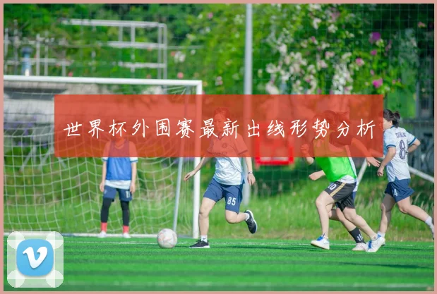 世界杯外围赛最新出线形势分析