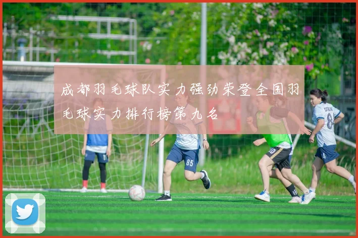 成都羽毛球队实力强劲荣登全国羽毛球实力排行榜第九名