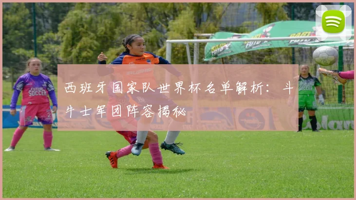 西班牙国家队世界杯名单解析:斗牛士军团阵容揭秘