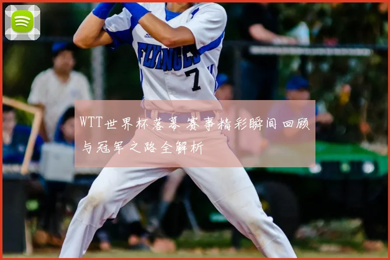 WTT世界杯落幕 赛事精彩瞬间回顾与冠军之路全解析