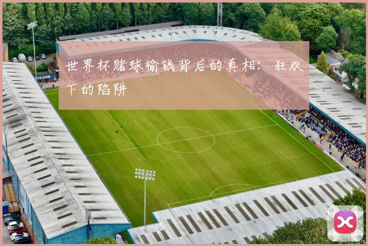 世界杯赌球输钱背后的真相:狂欢下的陷阱