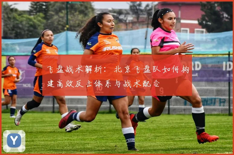 飞盘战术解析:北京飞盘队如何构建高效反击体系与战术配合